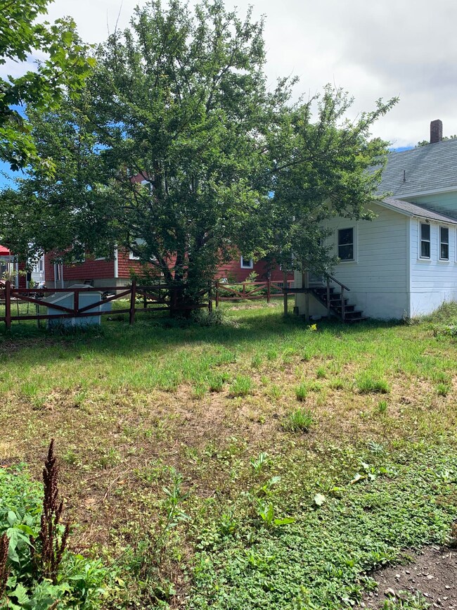 Backyard with Tree