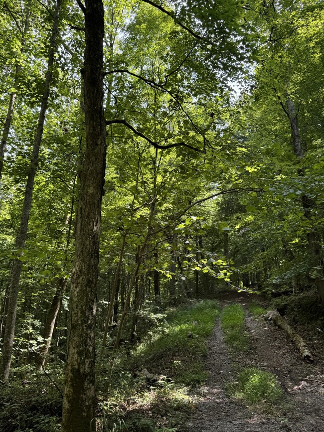 0 Albert Fentress Rd unit RTC2906900, Greenbrier, TN 37172 - photo 6