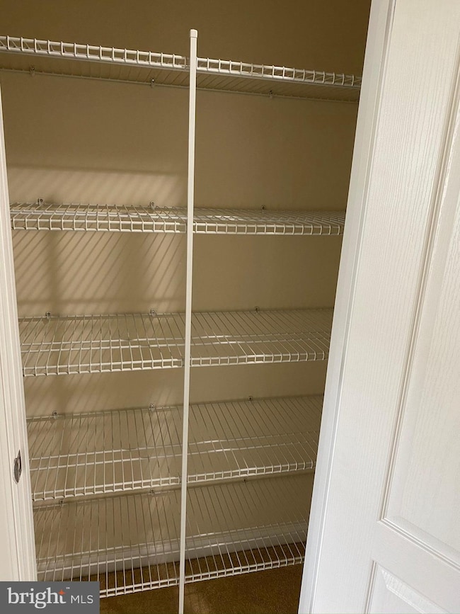 2908 Chinkapin Oak Ln, Woodbridge, VA 22191 - photo 6