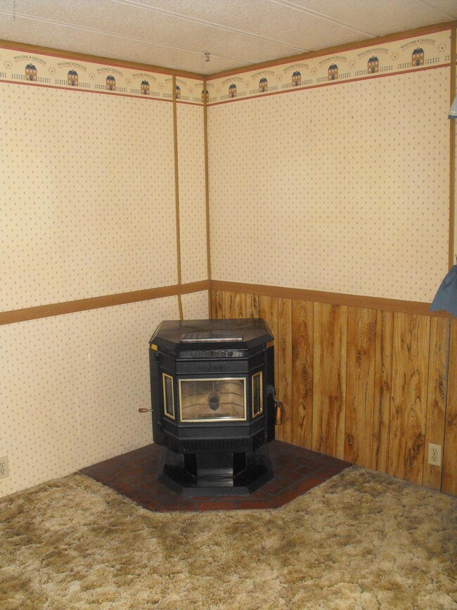 Pellet Stove in Family Room