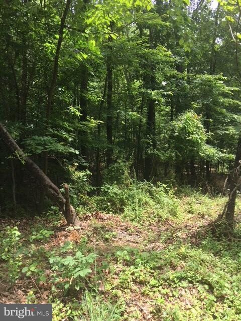 0 Cedar Ln unit 1002084256, Buckmarsh, VA 20135 - photo 5