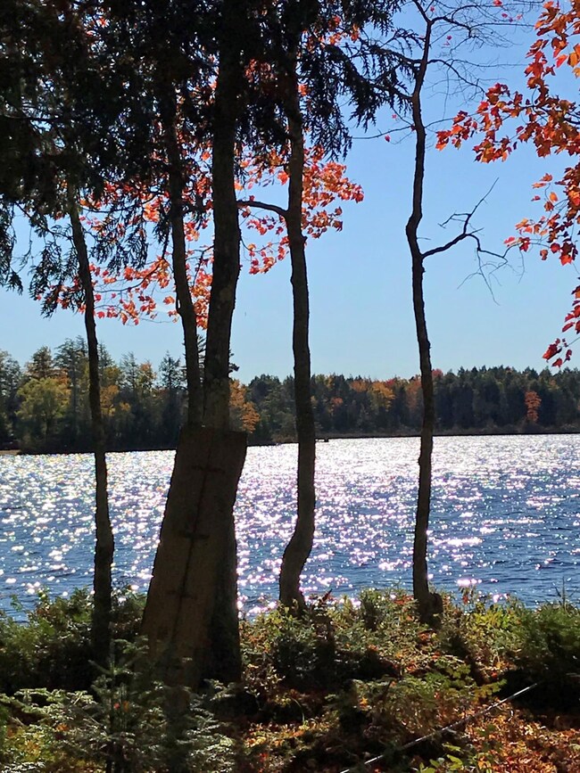 Autumn Lakefront