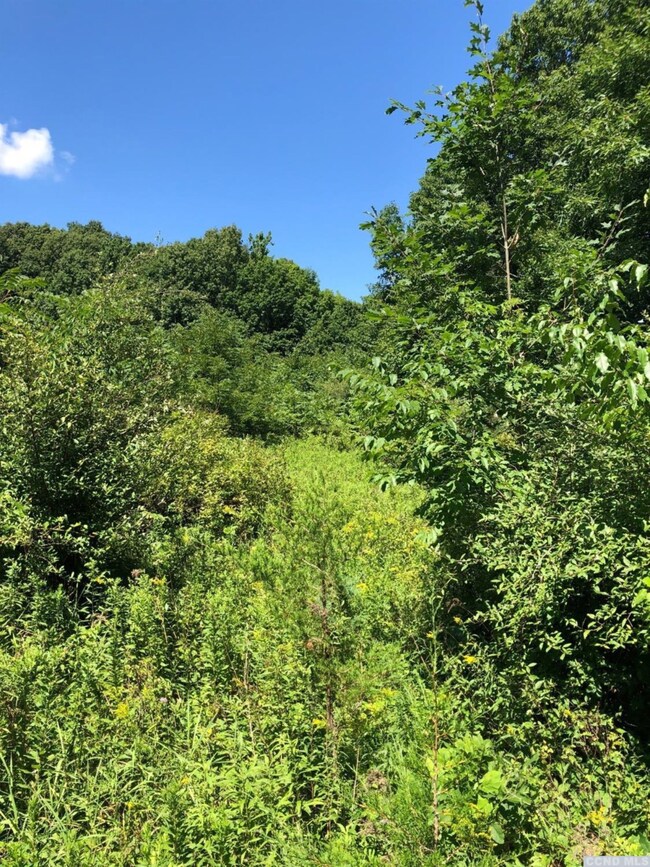 0 Old Route 82 unit 133687, Taghkanic, NY 12521 - photo 4