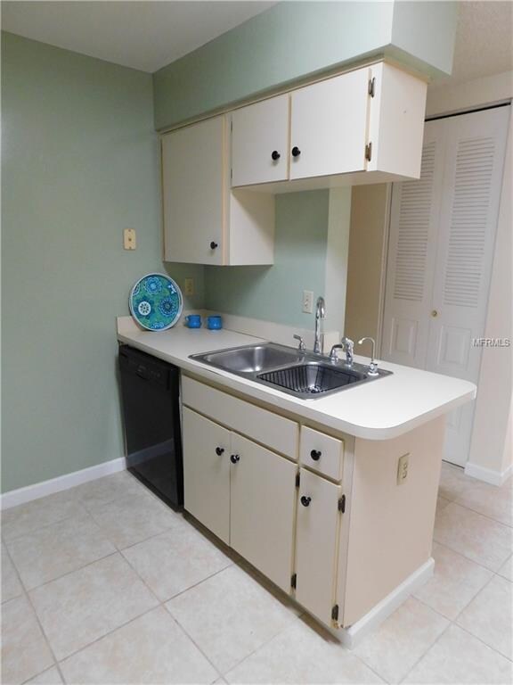 Sink and dishwasher