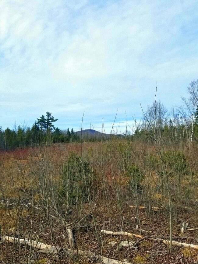 Distant view of mountain