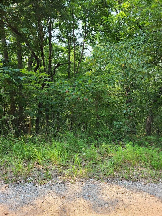 0 Lot 4 Chatburn Dr unit 1192140, Bella Vista, AR 72715 - photo 3