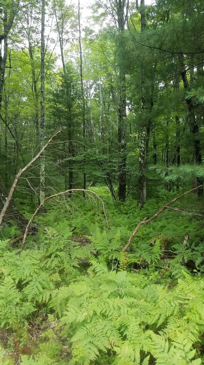 T-0681 Francis Farm Road