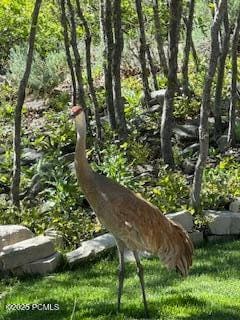 9080 N Uinta Dr, Kamas, UT 84036 - photo 6