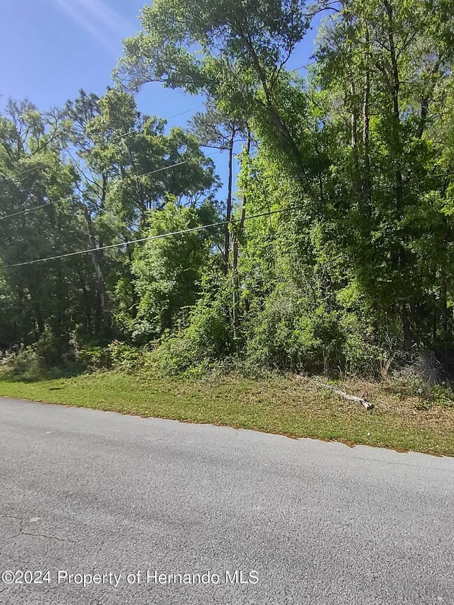 Lot Frontage