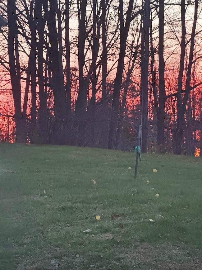 5422 Herrickville Rd, Wyalusing, PA 18853 - photo 3