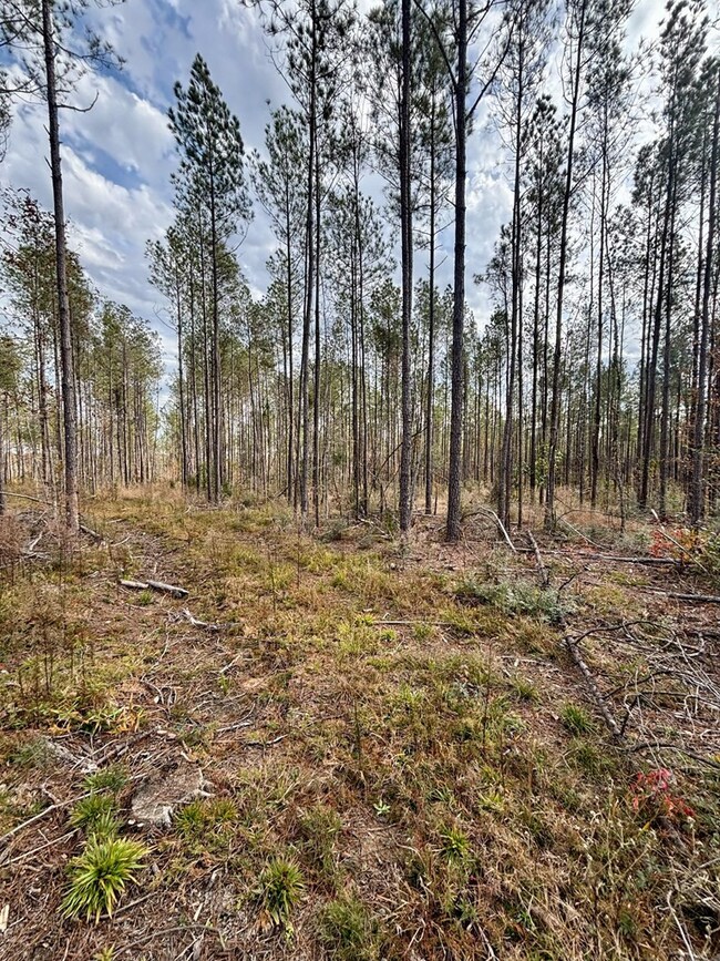 tbd Wall St, Osyka, MS 39657 - photo 6