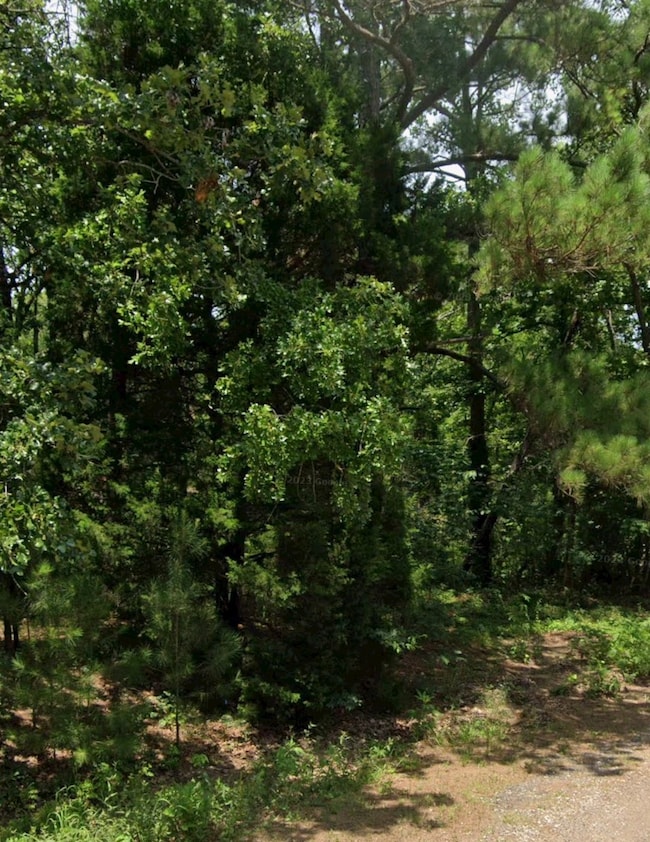 5343 Sam Bass, Log Cabin, TX 75074 - photo 2