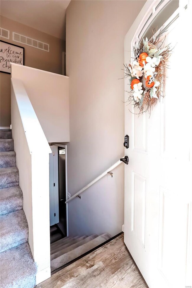 19 Mileva Ct, Farmington, MO 63640 - photo 6