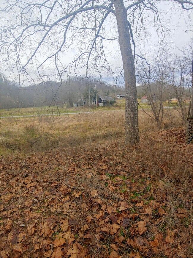 489 Oak Glen Cir, Fall Branch, TN 37656 - photo 5