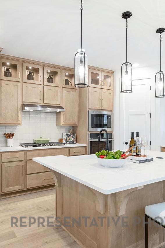 353 Blue Summit Bend, Georgetown, TX 78628 - photo 7