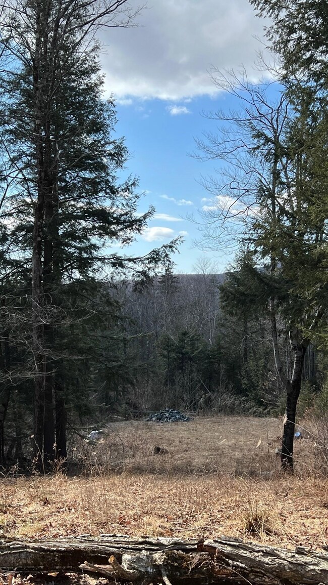 1153 Faulkner Rd, Whitingham, VT 05361 - photo 2