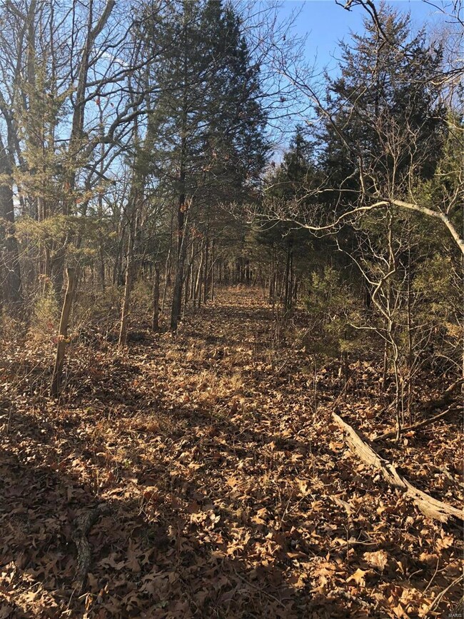 640 Jaudon Rd, Leslie, MO 63056 - photo 7