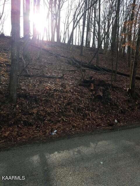old cave springs road lot 1 road 2