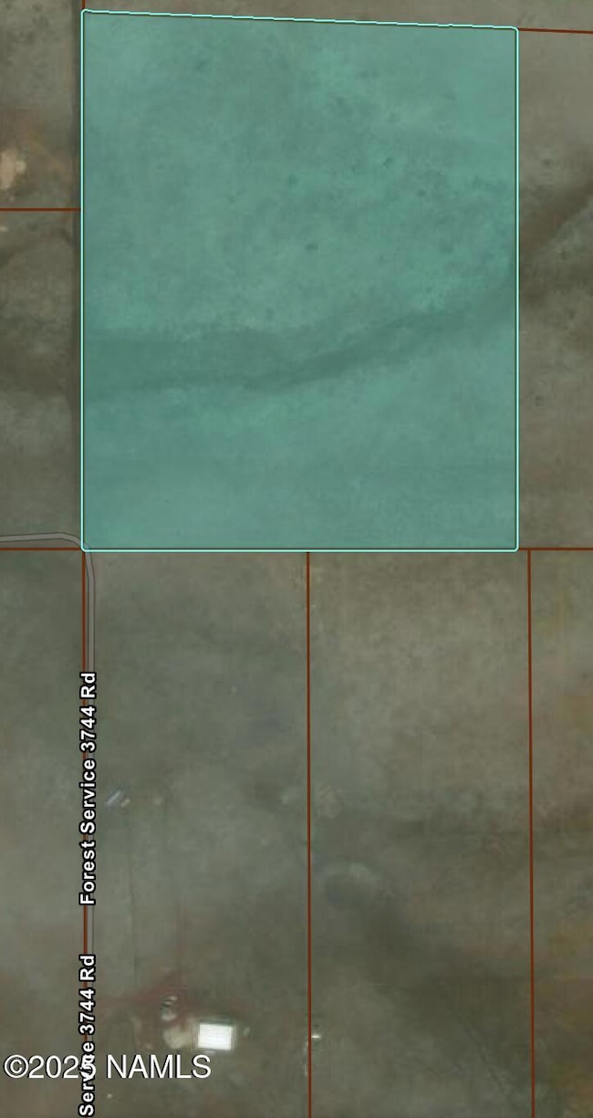 Screenshot 2025-06-05 at 8.41.38AM