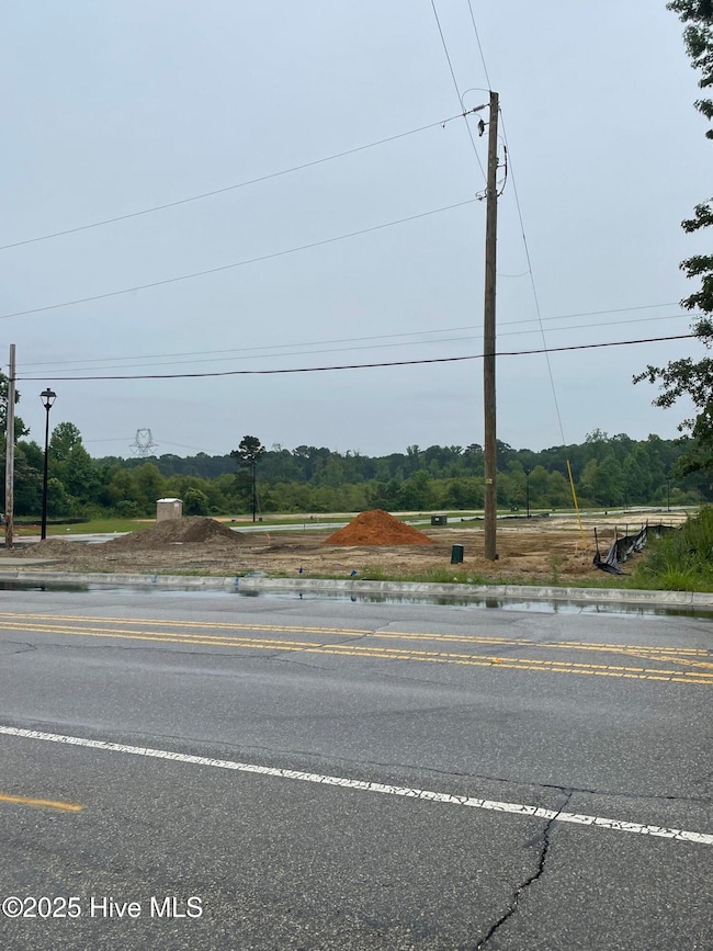 1502 Erwin Rd, Dunn, NC 28334 - photo 5