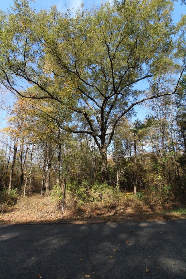 0 Harris Rd, Homer, LA 71040 - photo 4