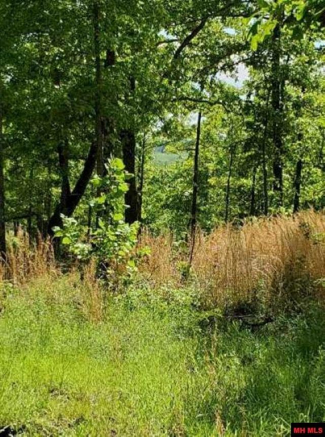 6537 Mount Calm Rd, Gepp, AR 72538 - photo 5