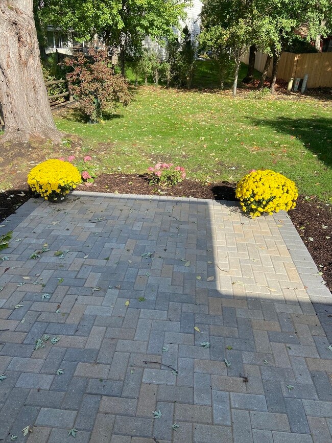 77 Drendel Ln, Naperville, IL 60565 - photo 2