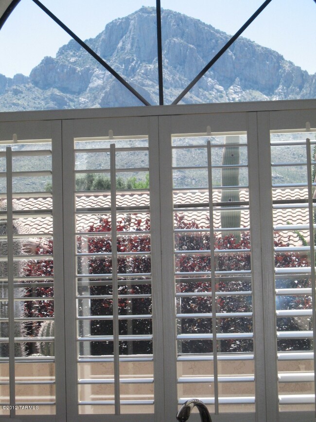 View from the Kitchen