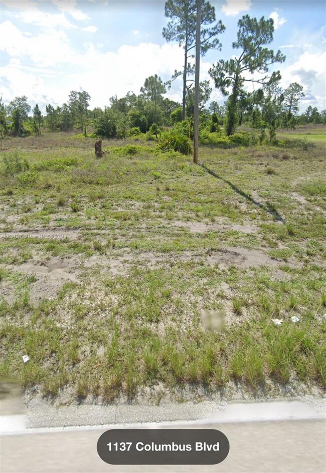 1139 Columbus Blvd, Lehigh Acres, FL 33974 - photo 2