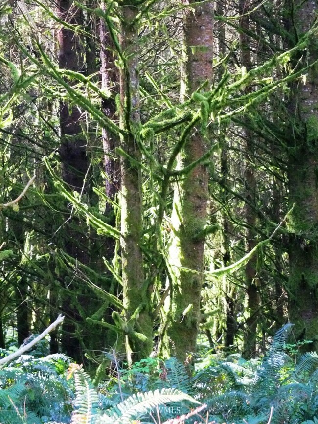 unlisted-address, Stanwood, WA 98292 - photo 6