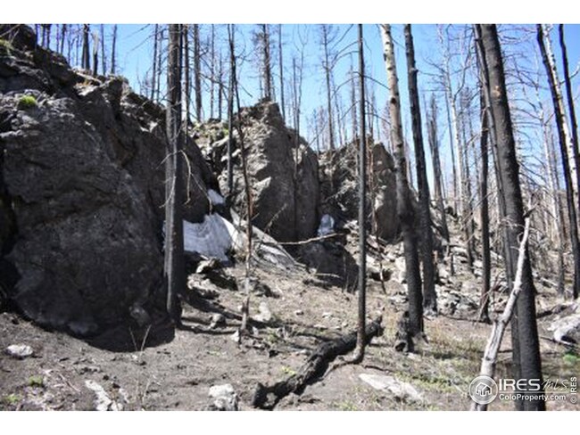 0 Greer Rd unit 966449, Bellvue, CO 80512 - photo 4