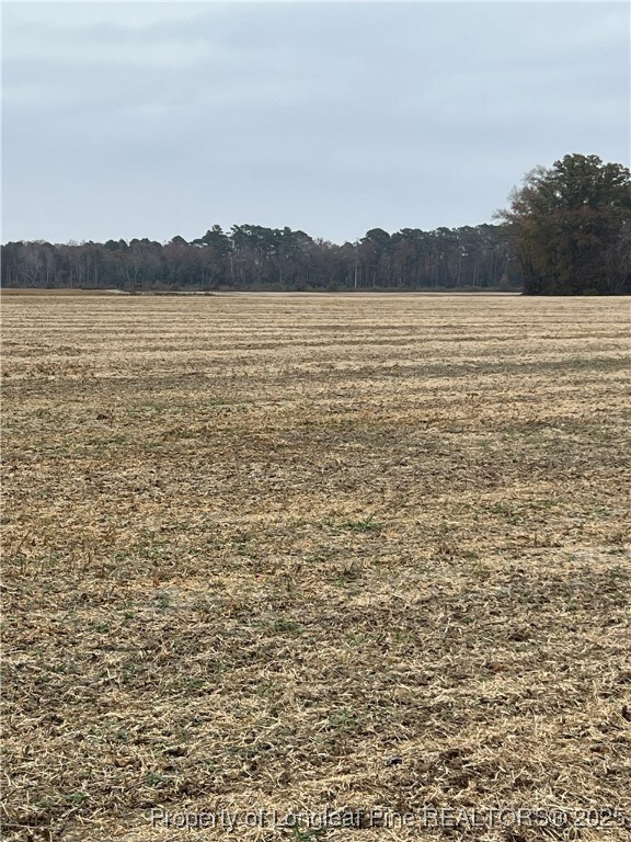 Lot 5 Buie - Philadelphus Rd, Red Springs, NC 28377 - photo 5