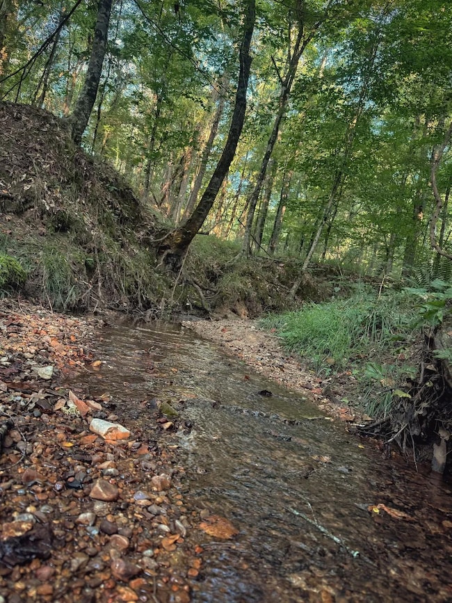 0 Sumrall Rd unit 24629682, Crystal Springs, MS 39059 - photo 6