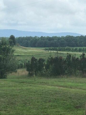 Mountain views from the property