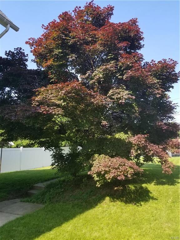 533 Ontario St, Bethlehem, PA 18015 - photo 7