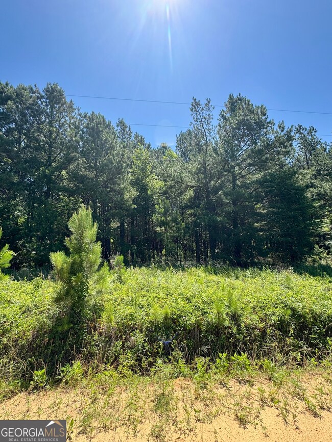 0 Sheppard Rd unit 10545353, Tennille, GA 31089 - photo 2