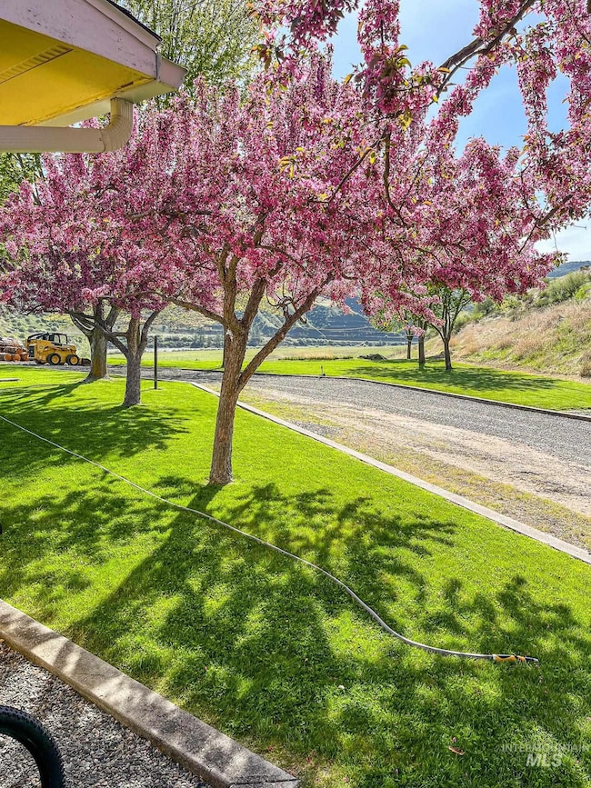 138 River Mountain Rd, White Bird, ID 83554 - photo 4