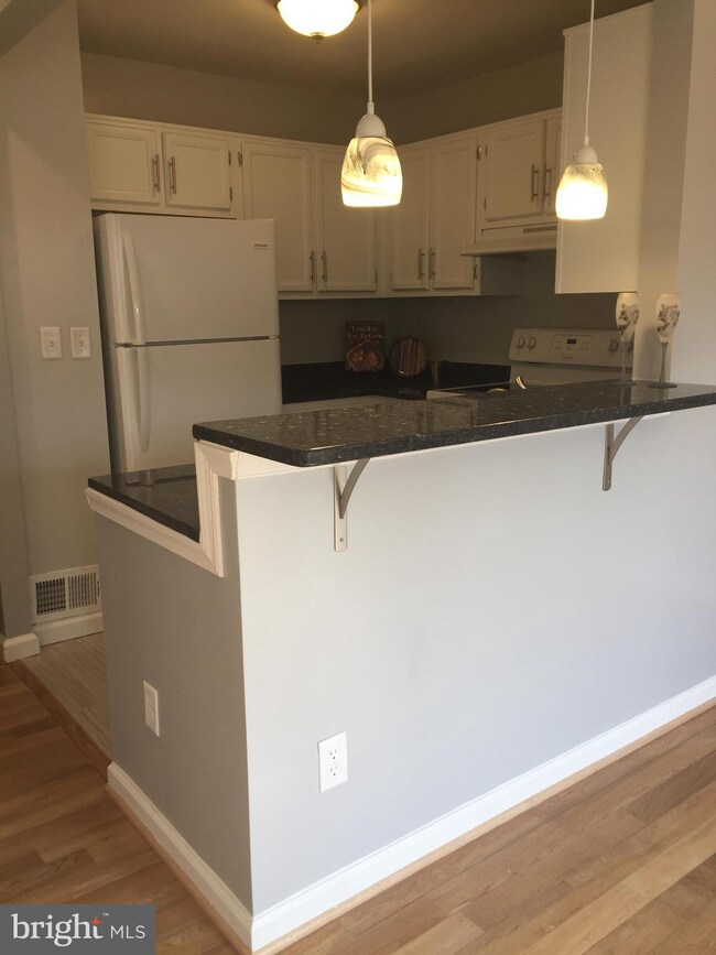 20224 Lea Pond Place, Montgomery Village, MD 20886 - photo 4