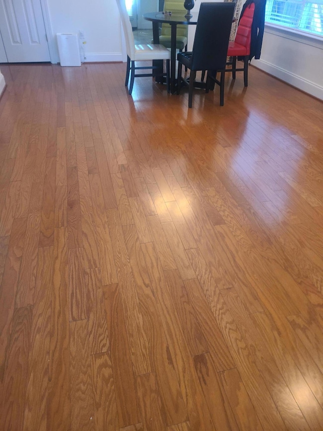 104 Amelia Forest Ln, Columbia, SC 29209 - photo 6