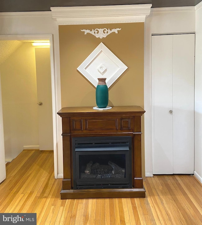 4425 Pennypack St, Philadelphia, PA 19136 - photo 6