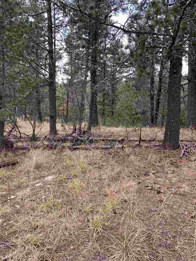 44 Pinos Altos, Mayhill, NM 88339 - photo 2