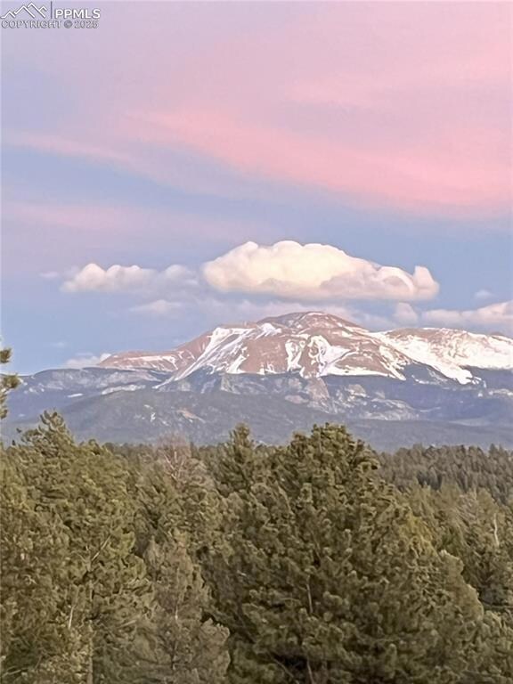 4261 County Road 51, Divide, CO 80814 - photo 5