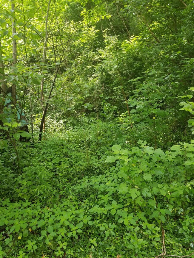 20180531_110709