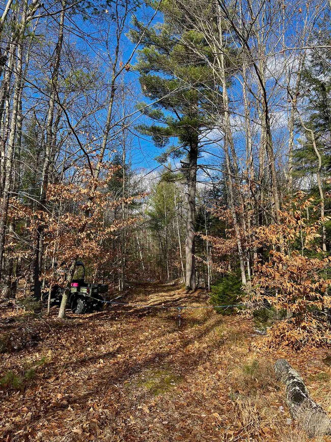 187 2nd Nh Turnpike, Windsor, NH 03244 - photo 2