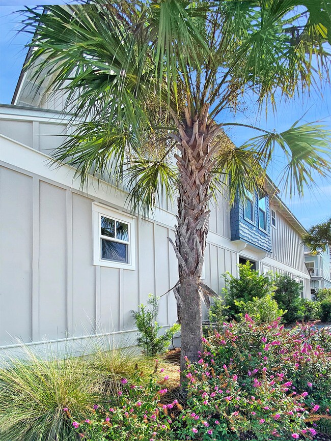 side view from Dolphin Dr