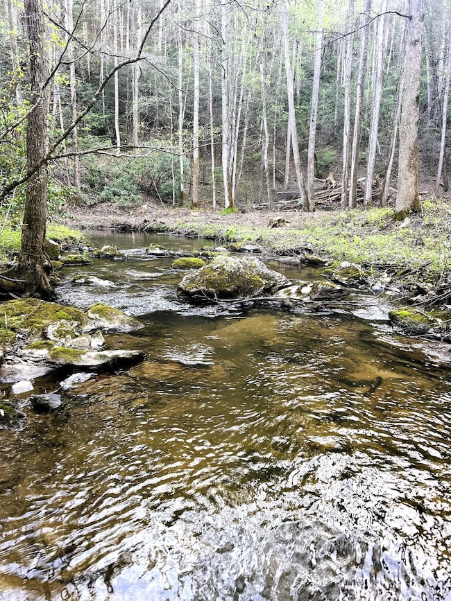 ivy creek 10