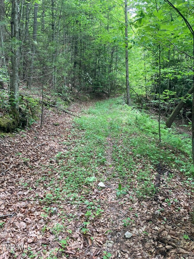 Dye Leaf Road property two