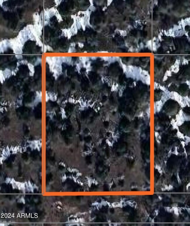 733 Paw Ln unit 106, Williams, AZ 86046 - photo 3