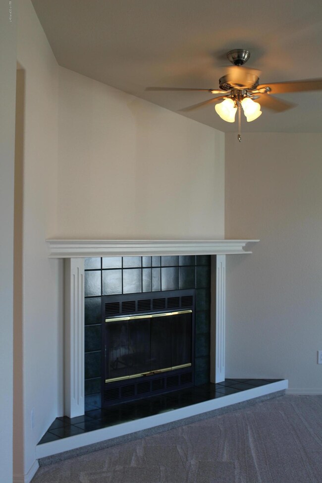 Gas Fireplace