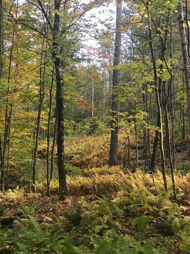 00-B Pinneo Hill Rd, Hanover, NH 03755 - photo 7